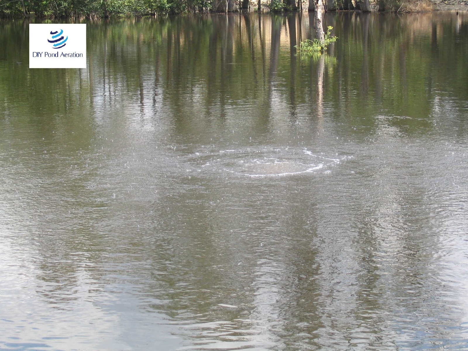 Industrial 220v 100' Lake Fishpond Aerator w/ 2-9" EDPM Diffusers 1/2hp 3 CFM!