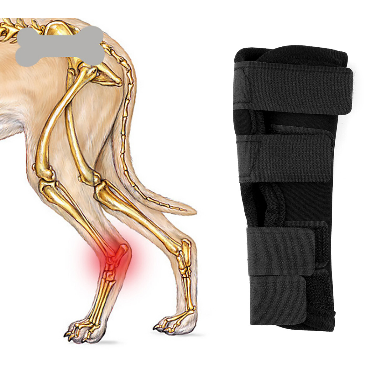 Dog Knee Brace Leg Brace for Sprain ACL Arthritis Joint Pet Dog Back Leg Support