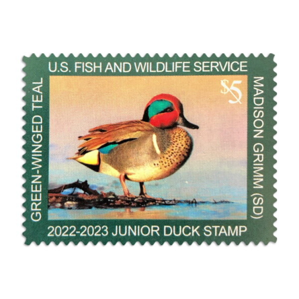 #JDS30 2022 Junior Duck Stamp - MNH