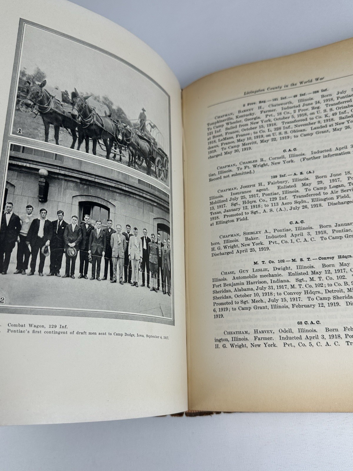 Livingston County Illinois Pontiac Fairbury Streator Cornell IL WWI History Book