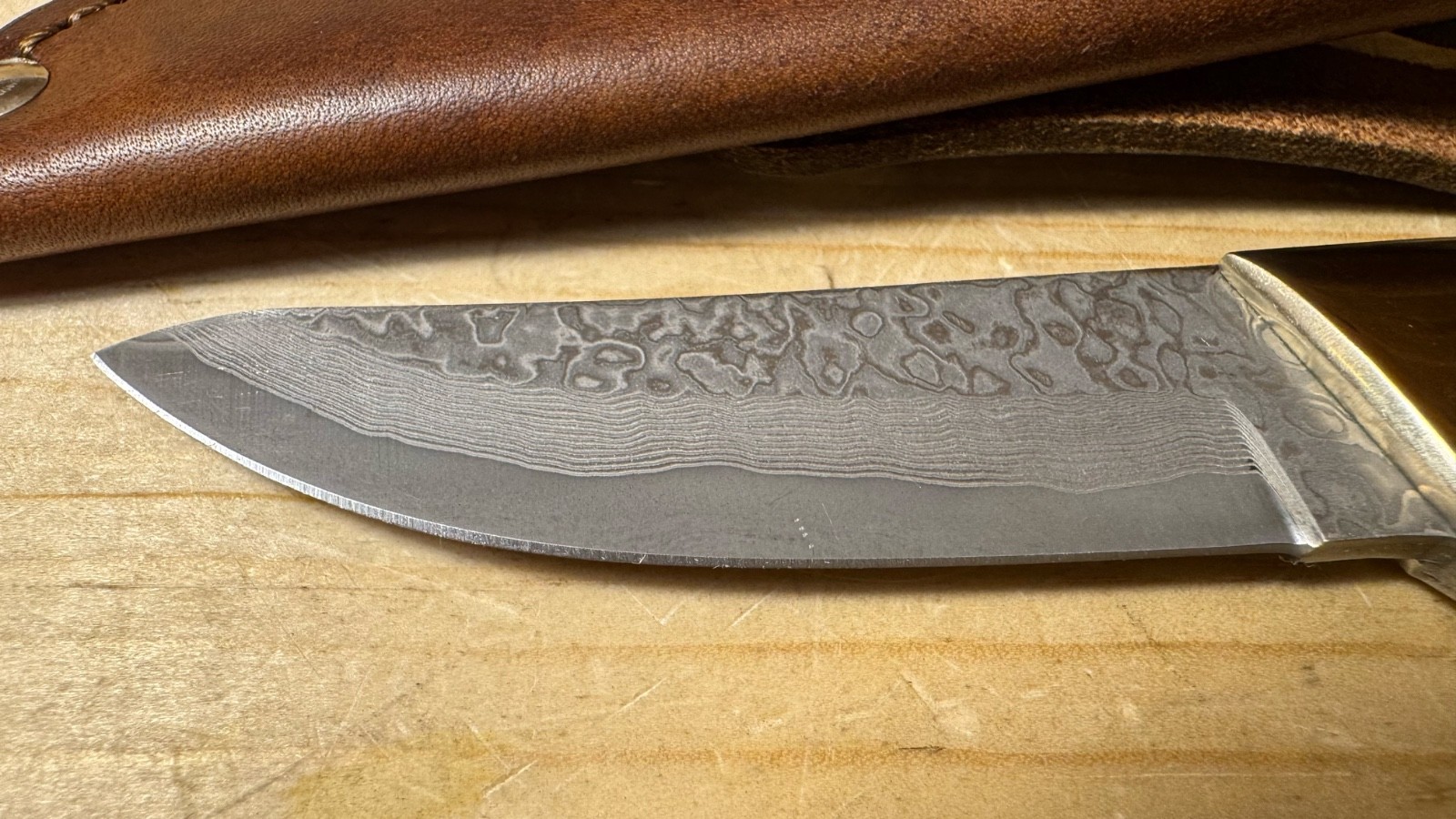 Santa Fe Stoneworks DamascUS AbLionE