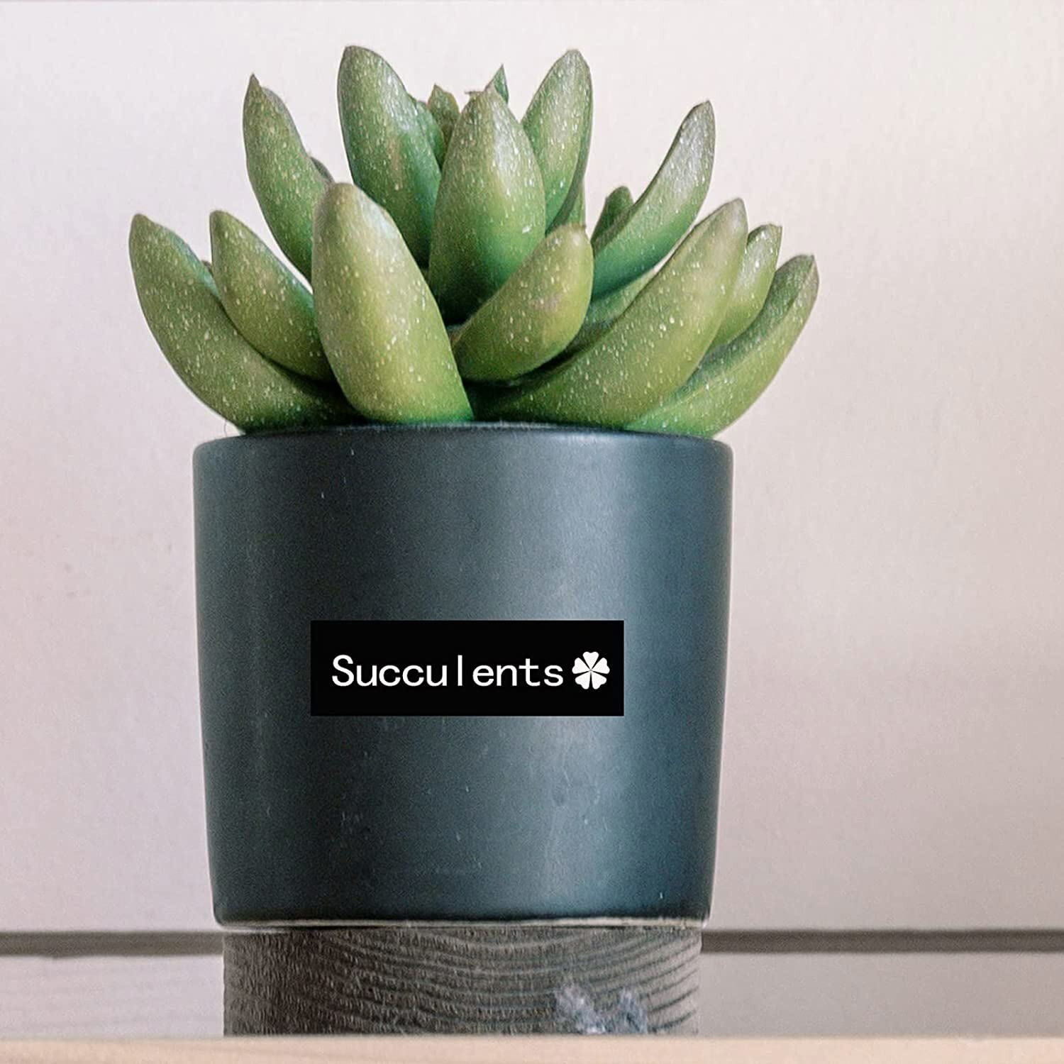 6PK TZ TZe 335 White on Black 1/2'' Label Tape for Brother P-Touch PT-300 1100