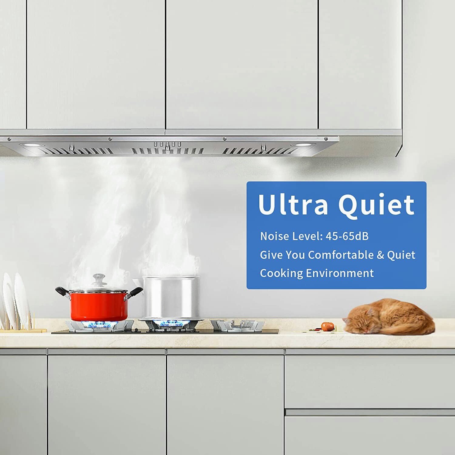 36 in Insert Range Hood 800CFM Built-in Stainless Steel Kitchen Cooker Hood New