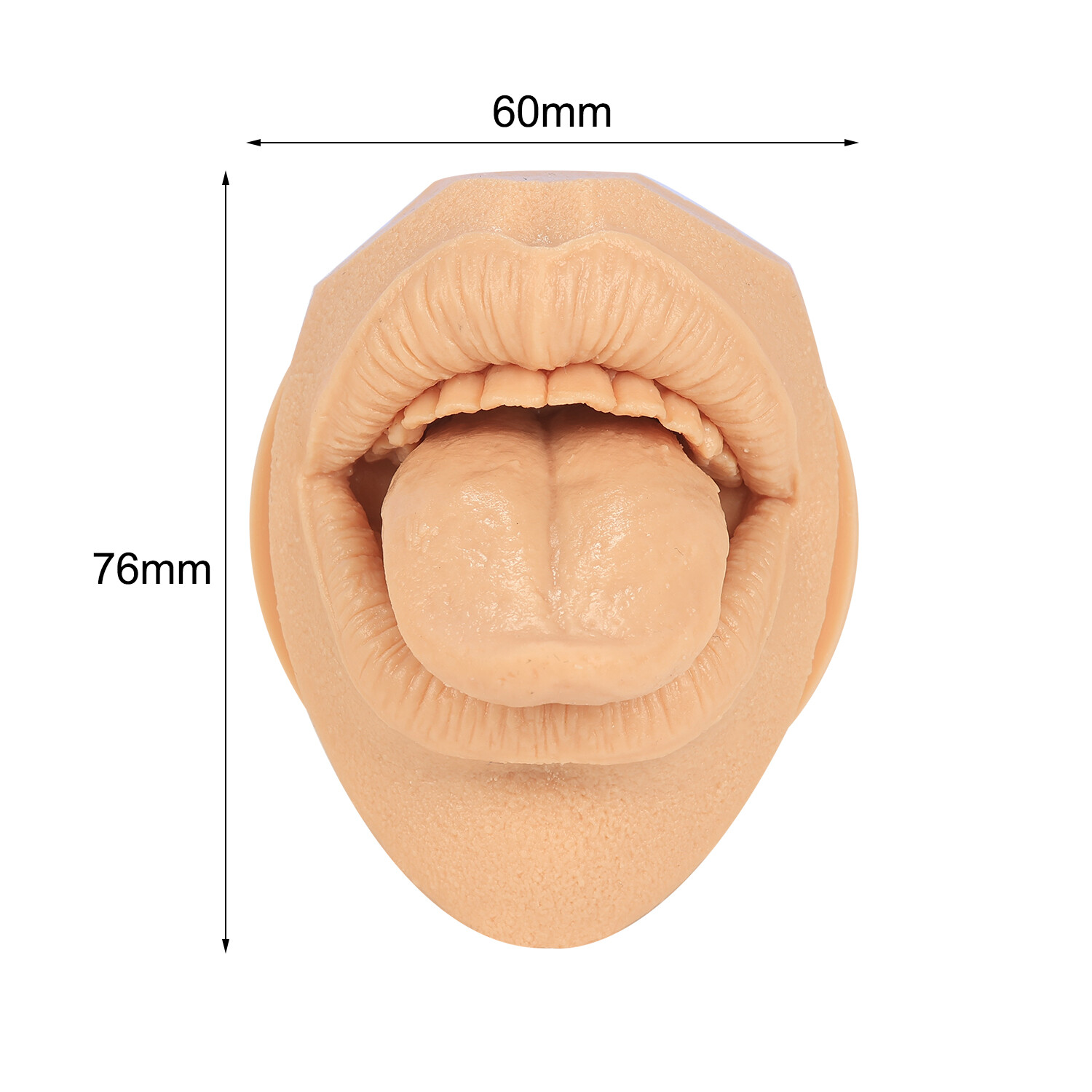 Silicone Ear Model with Acrylic Display Stand Body Parts Practice Piercing Tools