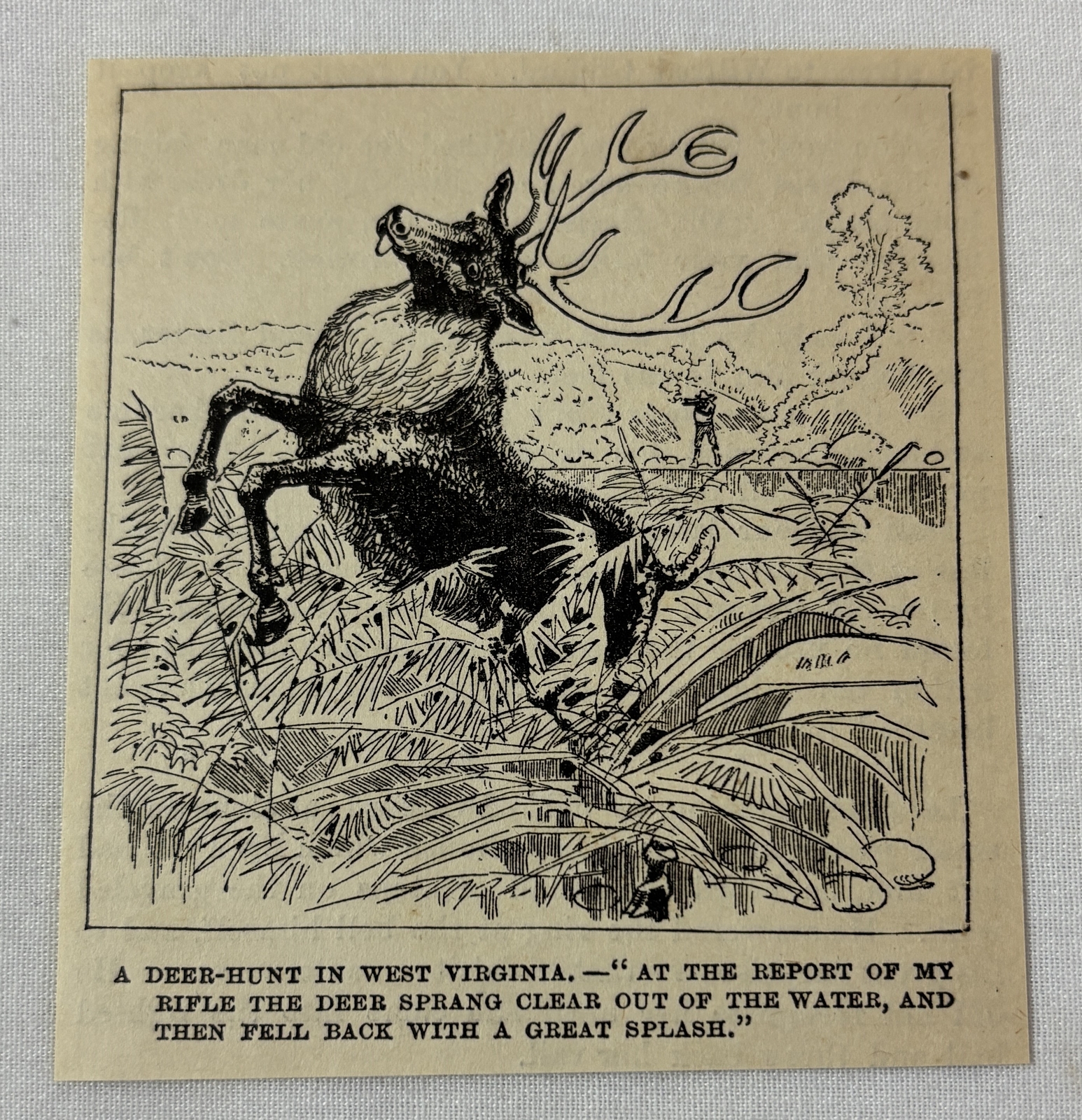 1886 magazine engraving ~ HUNTING A DEER IN WEST VIRGINIA