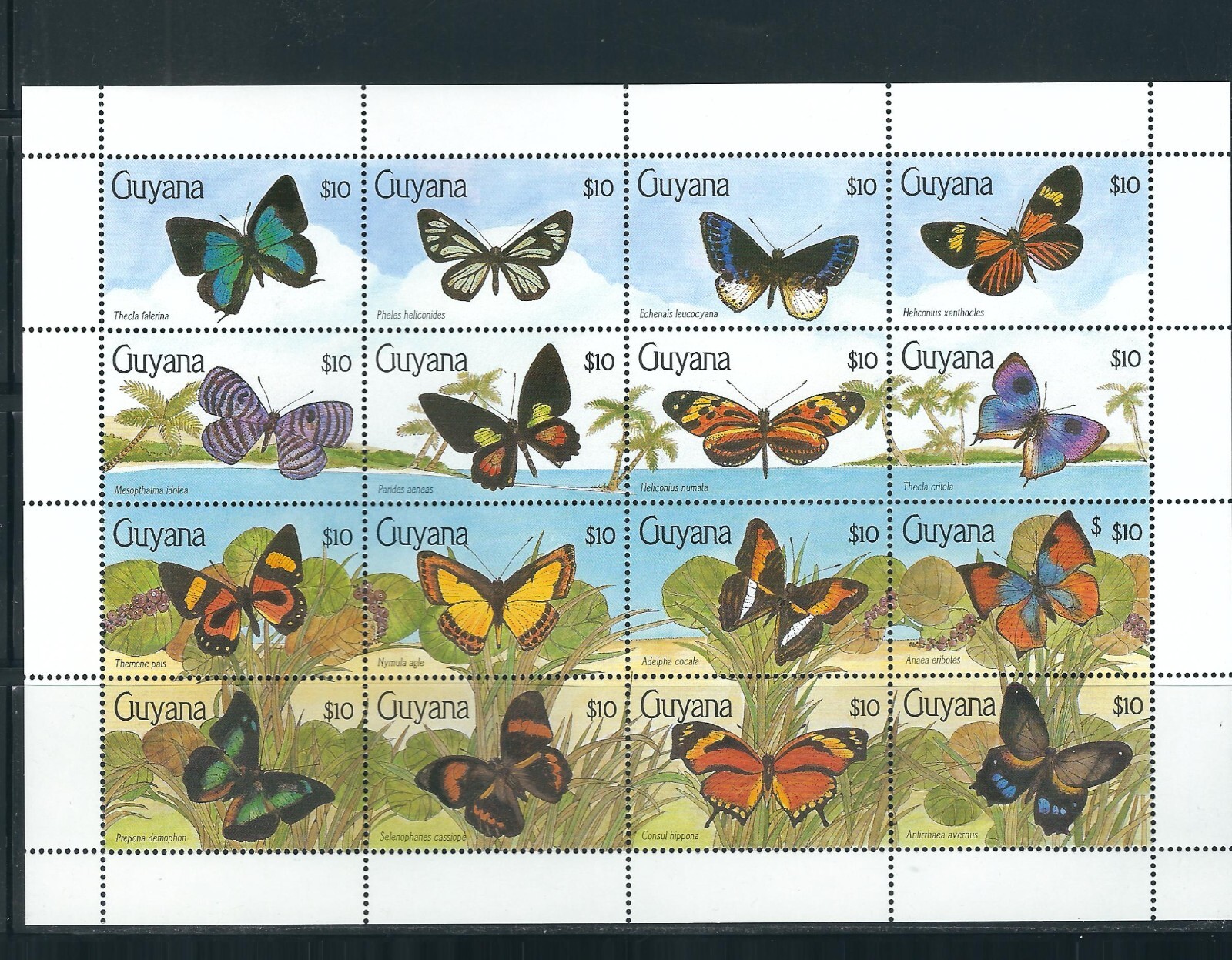 Guyana SC # 2340a-p  Butterflies . MNH