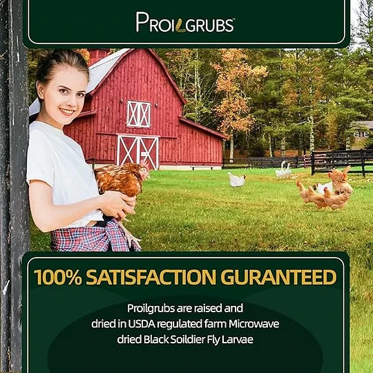 PROILGRUBS 10 LBS Non-GMO Dried Black Soldier Fly Larvae for Chickens,Birds