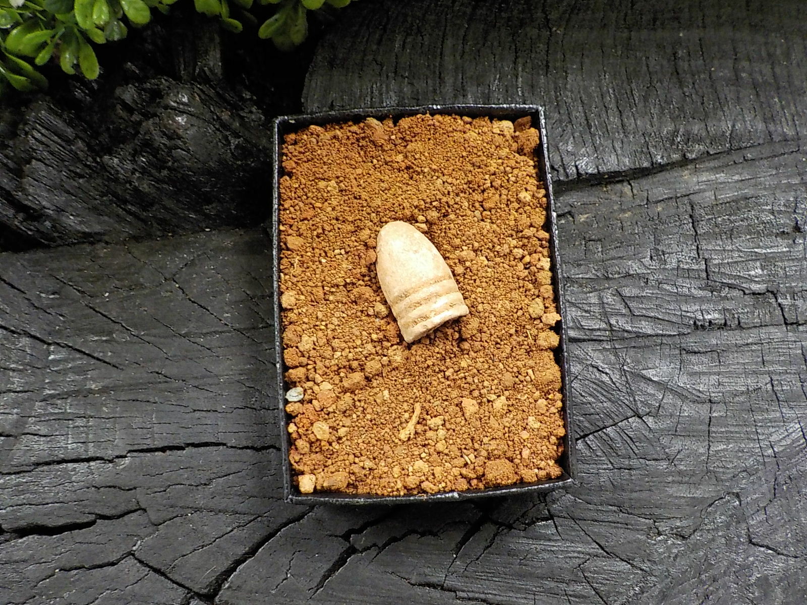 Old Rare Vintage Civil War Miniball in Appomattox Virginia Confederate Camp Soil