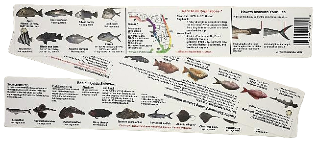 Super-Flex Fish ID & Regulations Ruler - Florida