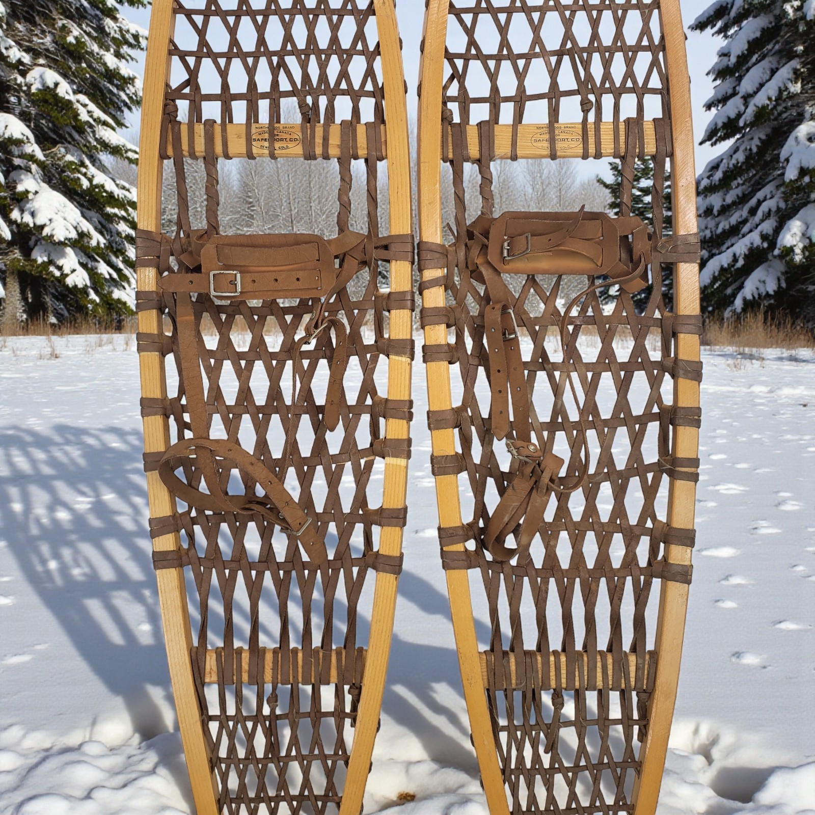 Vintage Snowshoes Northwoods Brand Made In Canada 56" x 10" Safesport Denver CO.
