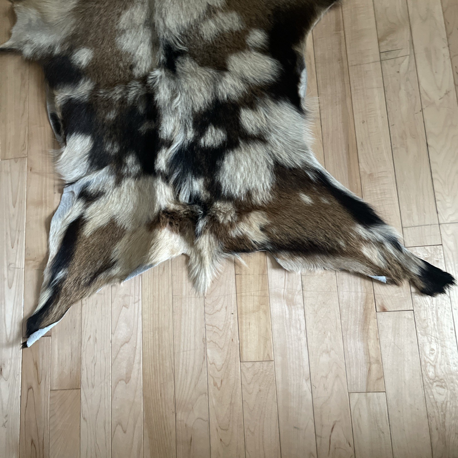 Real Goat Hide Skin Rug Multicolor 38” by 31”