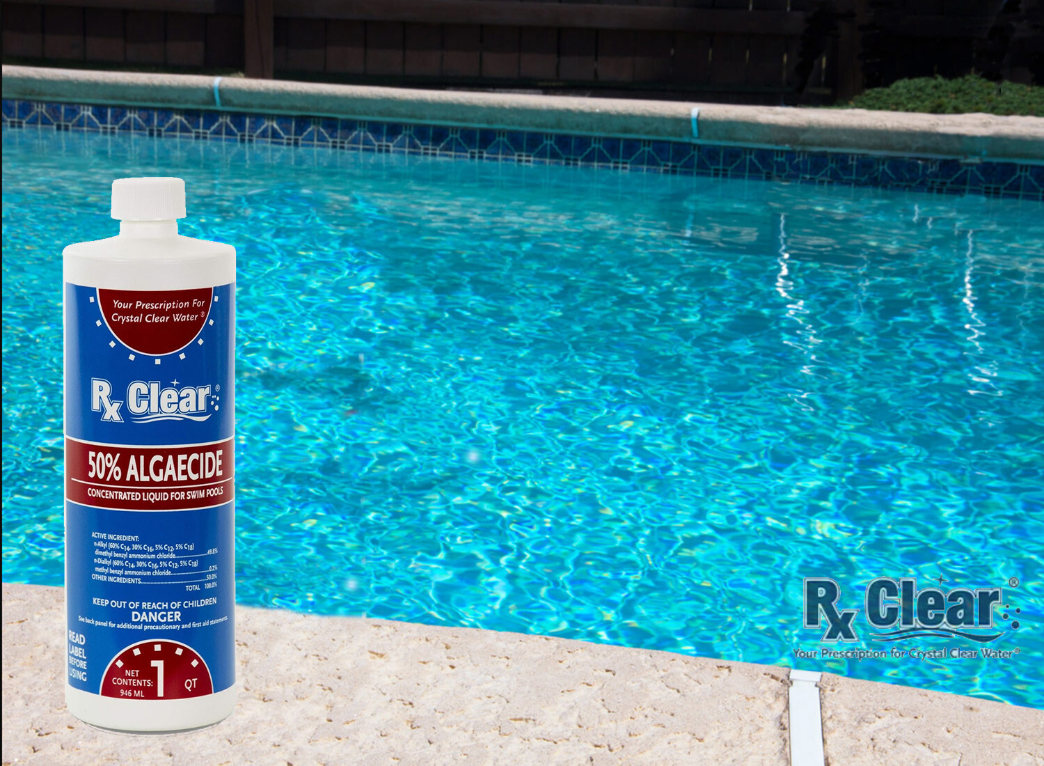 Rx Clear Algaecide 50 Plus Prevents Algae Swimming Pool Chemical - 32 oz Bottles