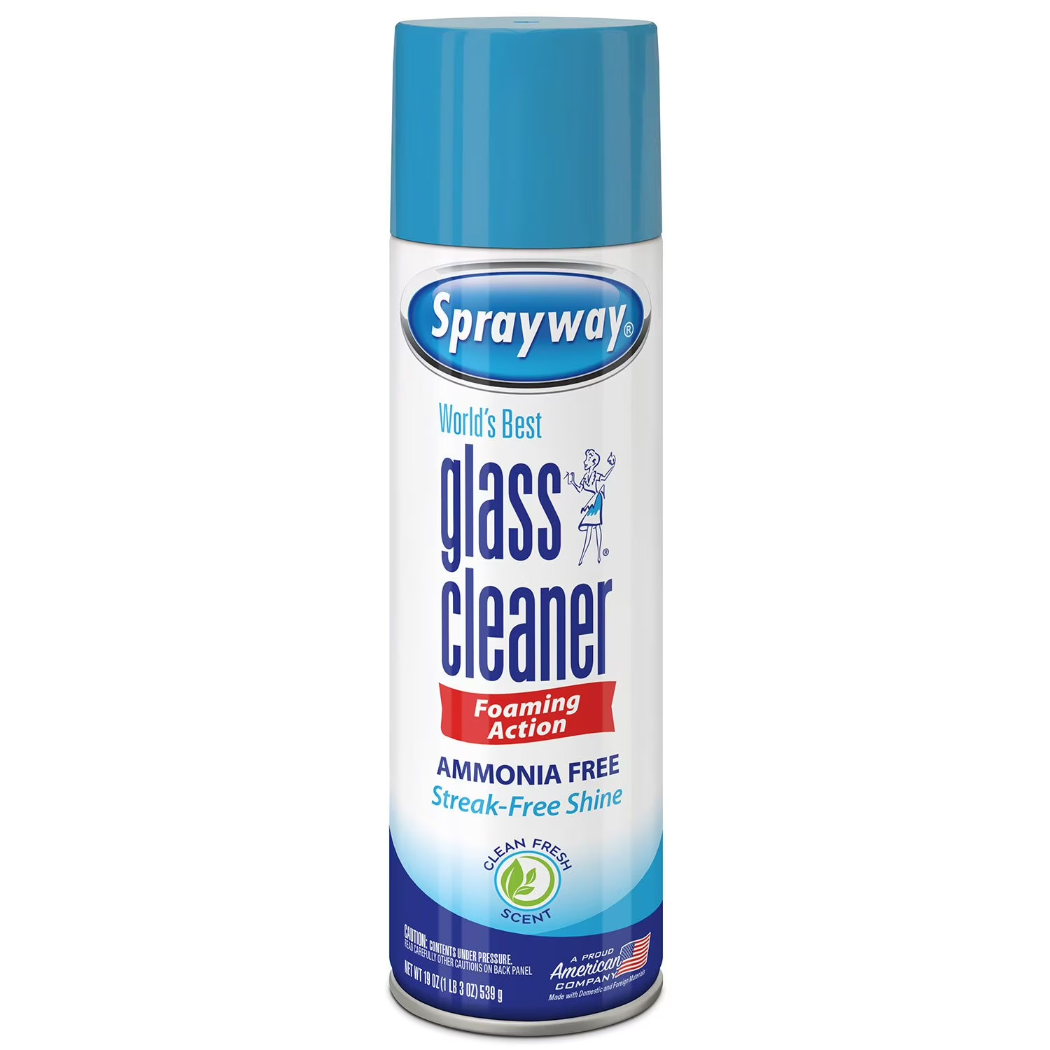 Sprayway Glass Cleaner 19 Ounce Pack of 4 Streak Free Shine - FREE SHIPPING