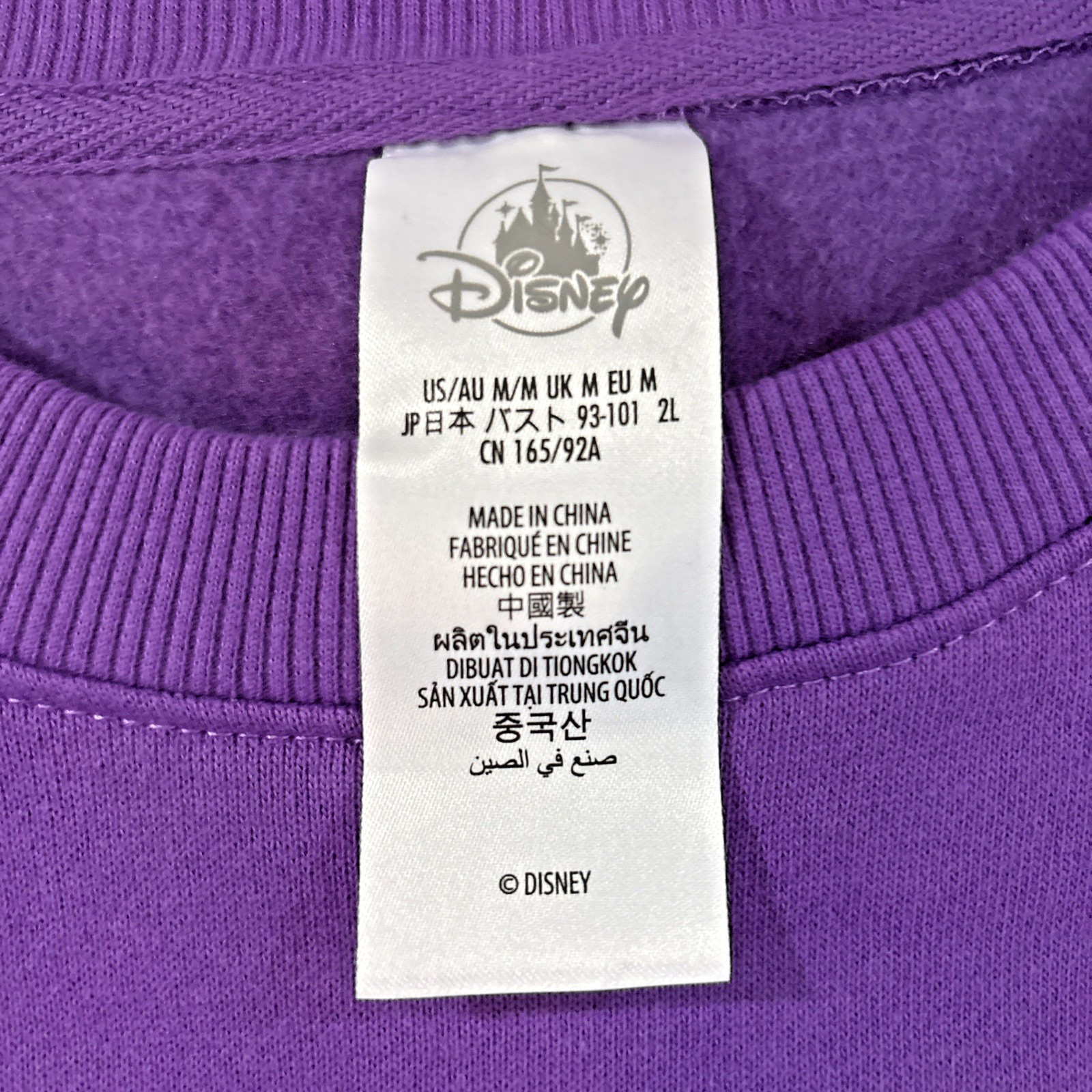 Disney Parks 2026 WDW Figment Sweatshirt Size Medium New 🔥🌟 NWT