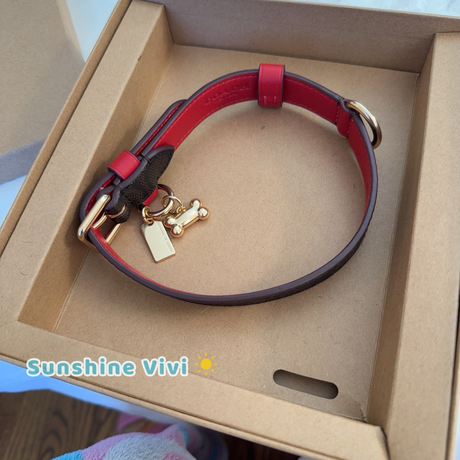 NWT Coach Boxed Medium Pet Collar In Signature Canvas CX157 Gold/Walnut/Bold Red