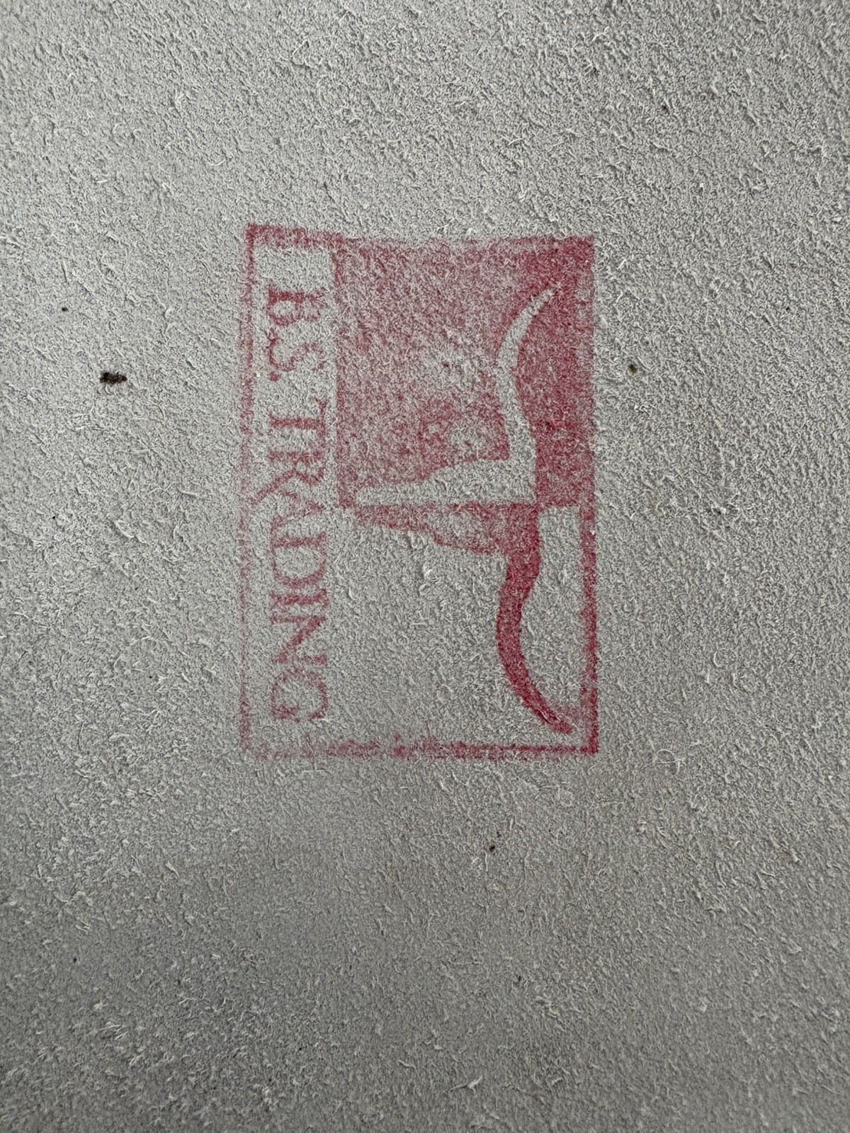 Brindle Gray Beige Natural Cowhide Rug 6 ft × 5.3 ft B.S. TRADING