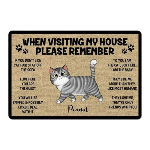 Please Remember When Visiting Cats House Cat Doormat Welcome Mat Cat