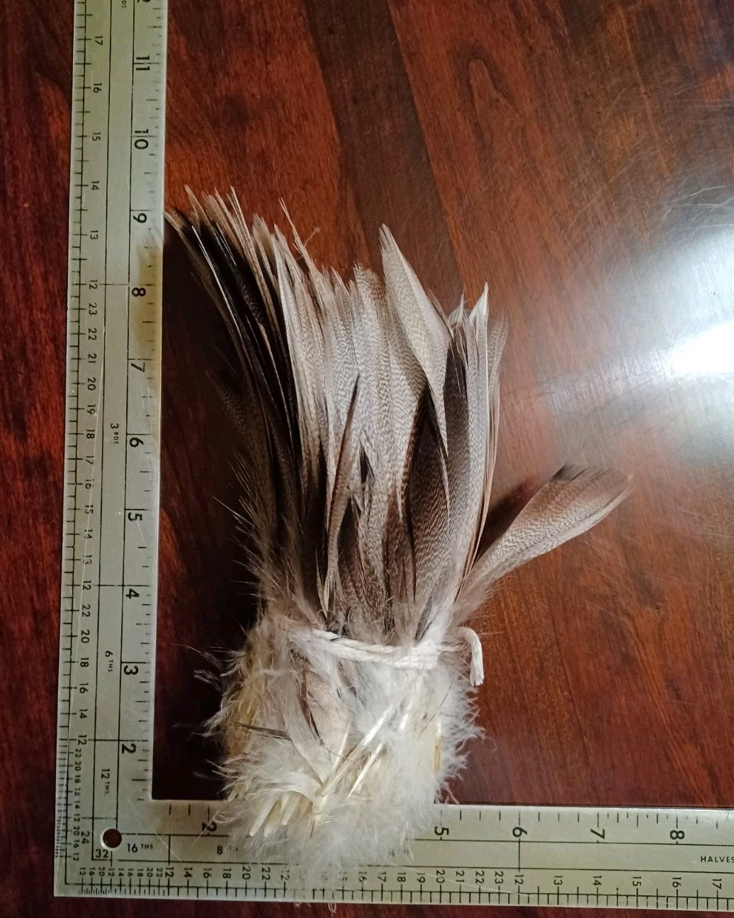 XL Bronze Mallard Bundle, X-Select