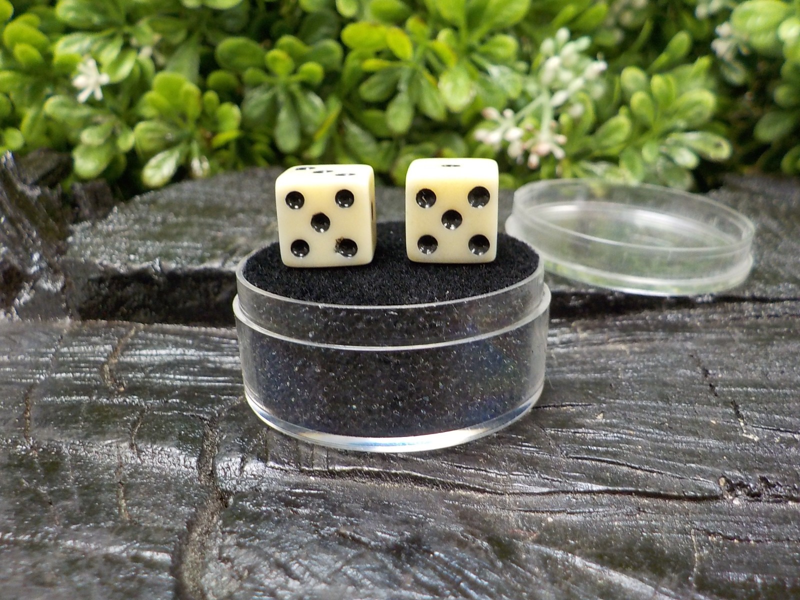 Old Rare Vintage Antique Civil War Relic Bone Dice Extremely Rare with Free Case