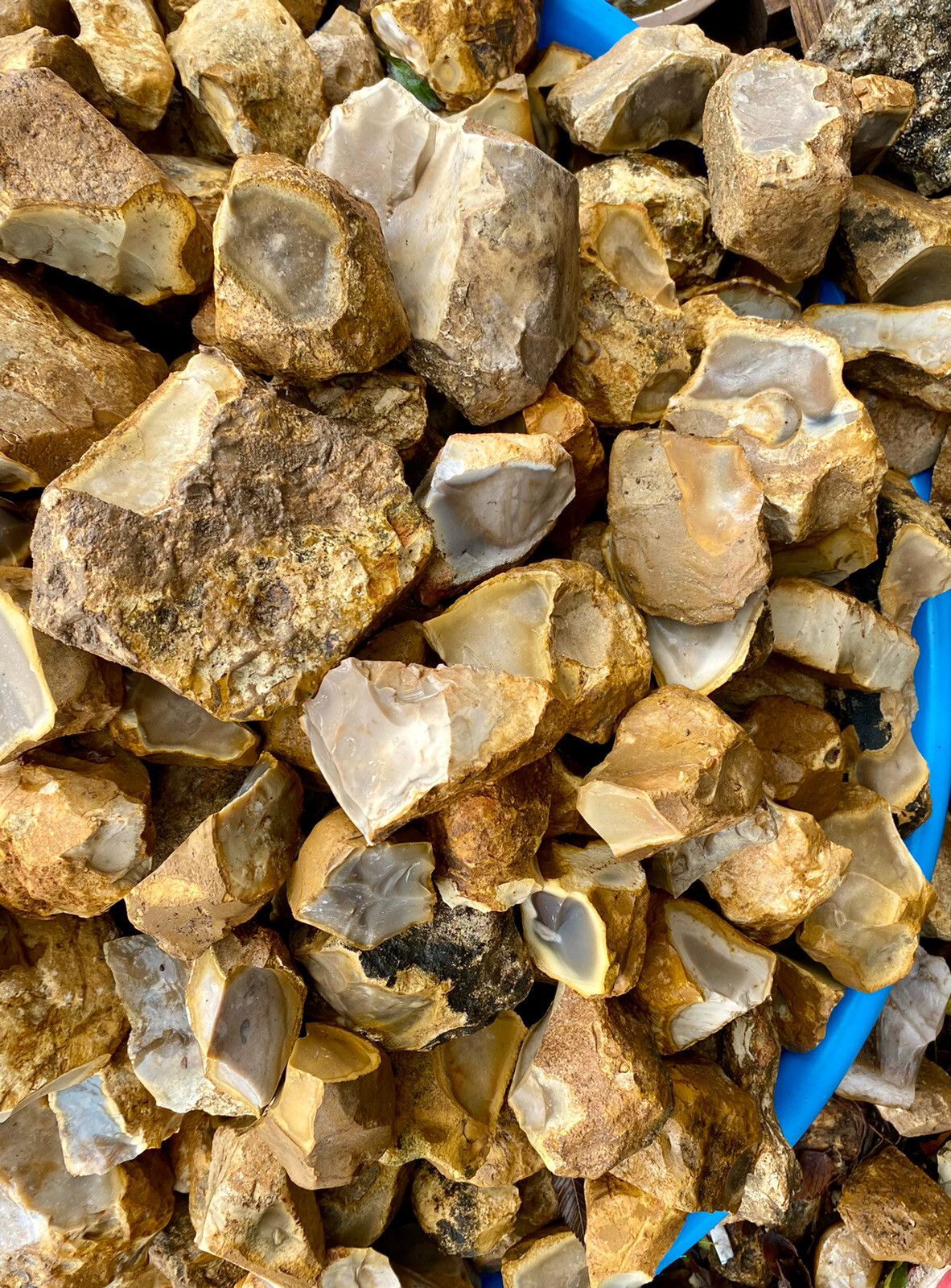 8+ POUNDS Central Texas “Edwards Plateau”Chert/Flint Rocks for Knapping/Lapidary