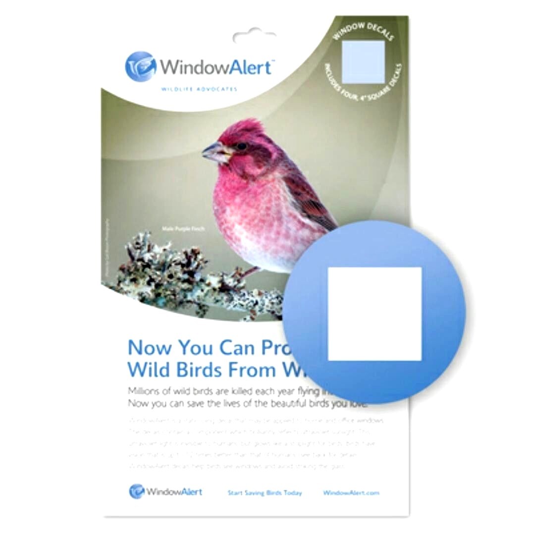 WINDOW ALERT ANTI-COLLISION DECALS CLINGS SQUARE SAVE BIRDS PREVENT STRIKES
