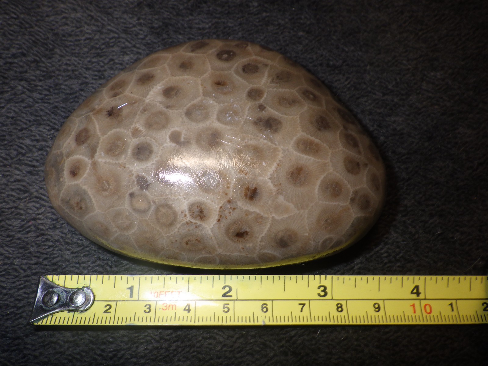 Polished Petoskey Stone 8.7 oz