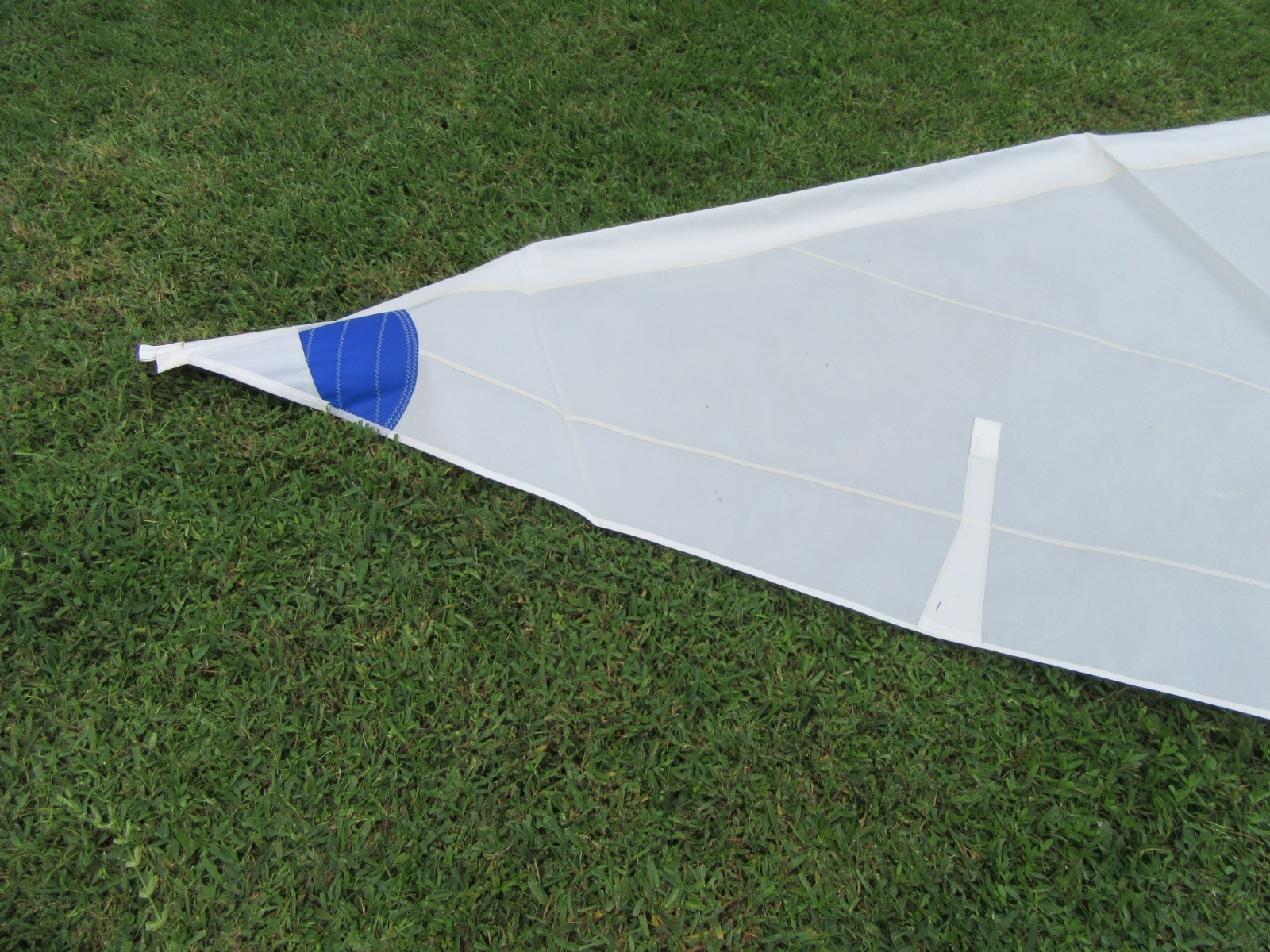 Radial training sail for Laser® by iSails Regular