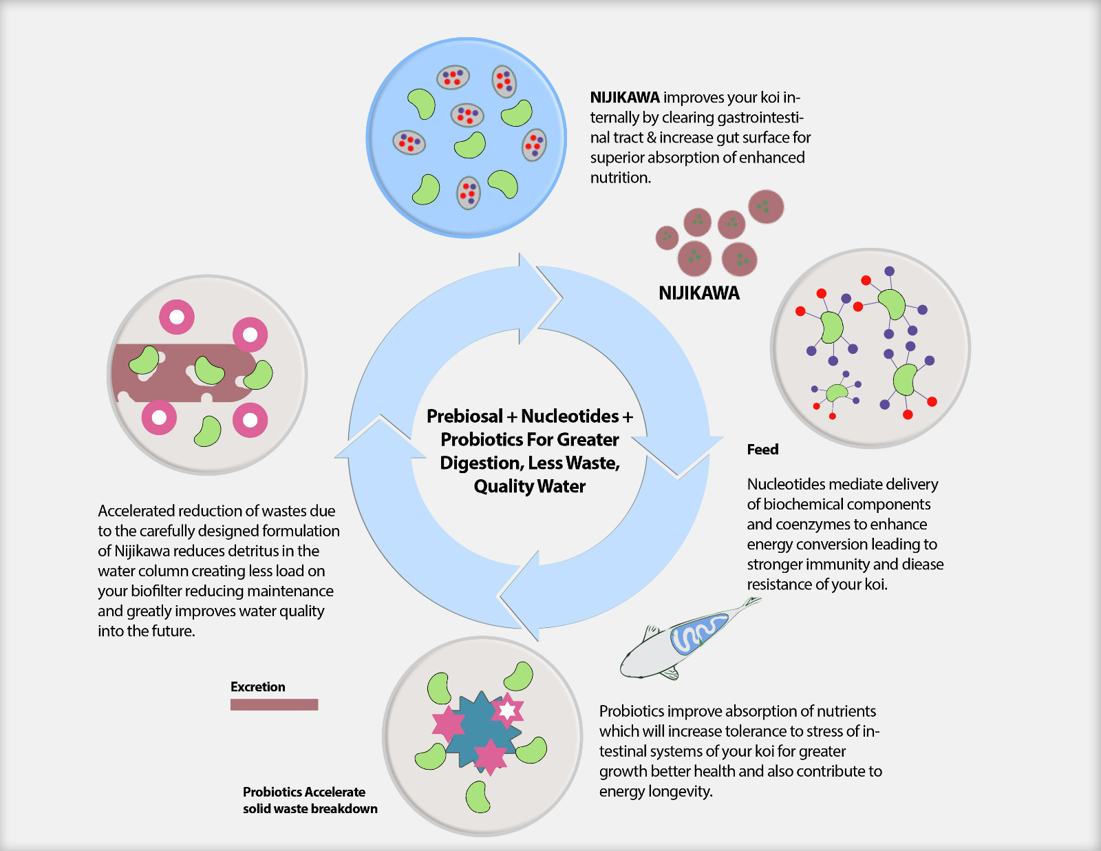 Nijikawa Growth Koi Food by EWOS! 15lb 5mm Floating Authorized eBay Dealer