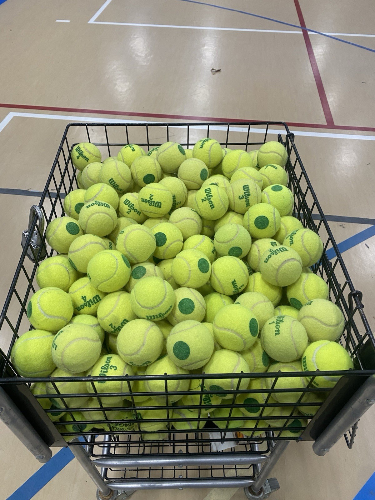 50 Wilson GREEN DOT Tennis Balls EXCELLENT A QUALITY SEE OTHER LISTED No P Rico