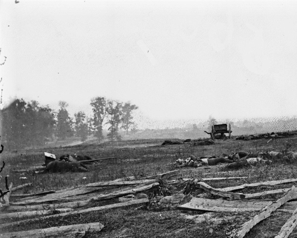 New 8x10 Civil War Photo: Scene of Terrific Conflict after Battle of Antietam