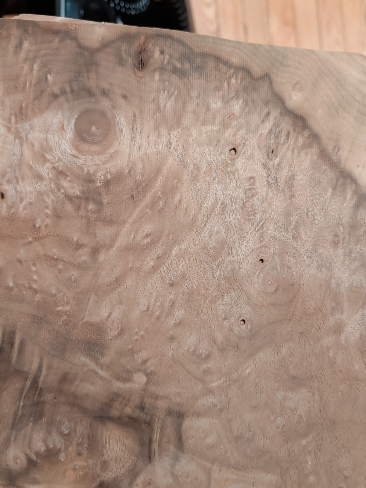 Myrtlewood burl veneer 2 pieces 18 1/4" x 11 5/8" each wood 1/42" raw