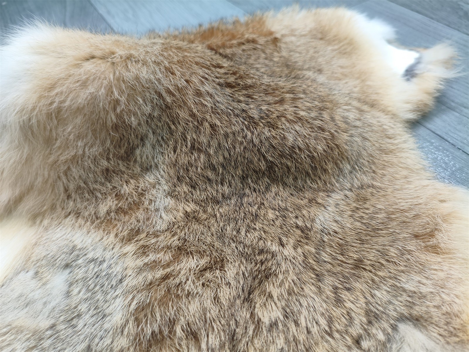 4x High Quality Tanned Rabbit Skin Pelt Animal Fur Hide Craft Grade Grass Yellow