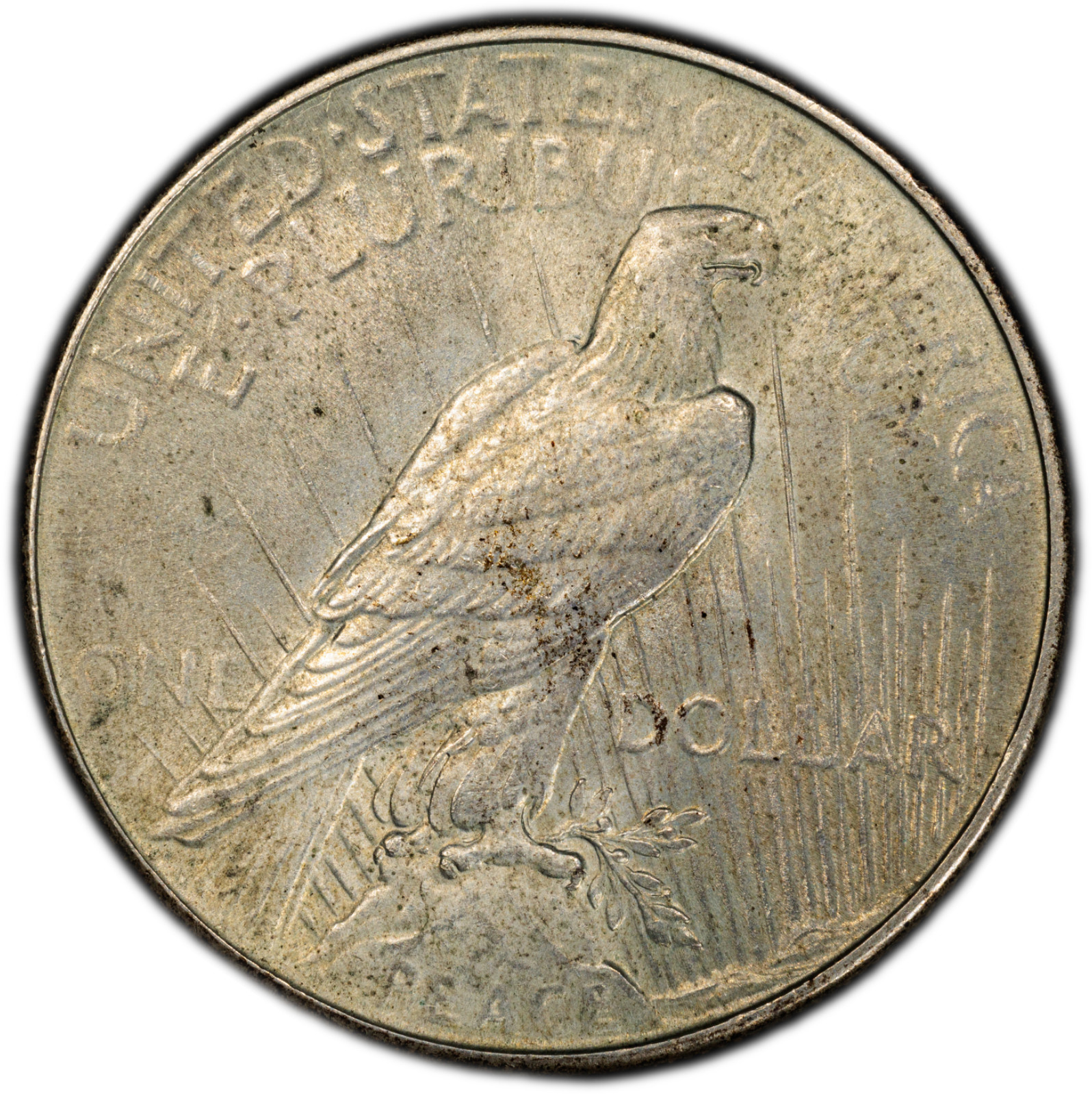 1934-P Peace Dollar PCGS UNC Details Cleaned $1