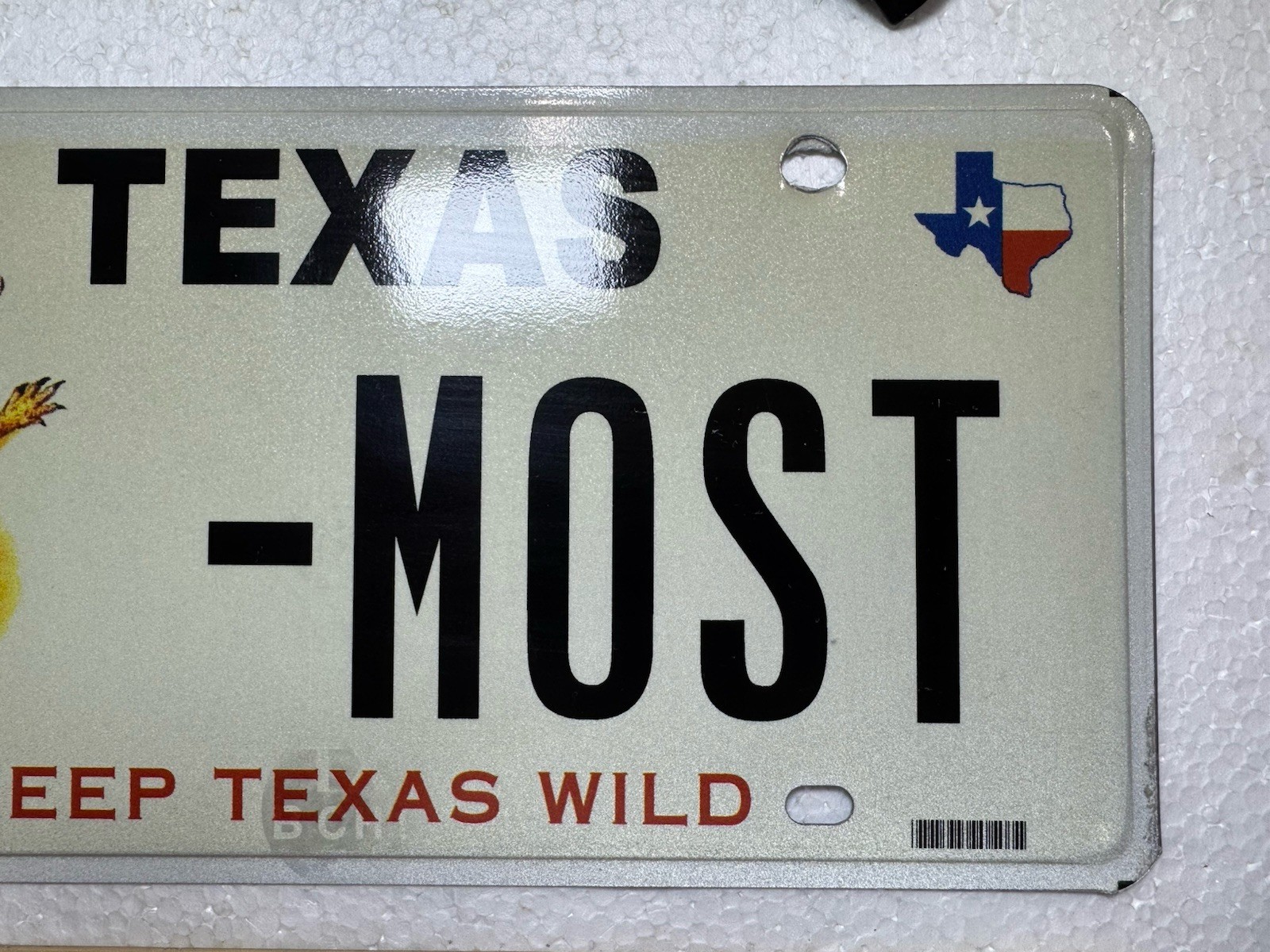 Souvenir Texas Full Size Sample License Plate - Most- Keep Texas Wild
