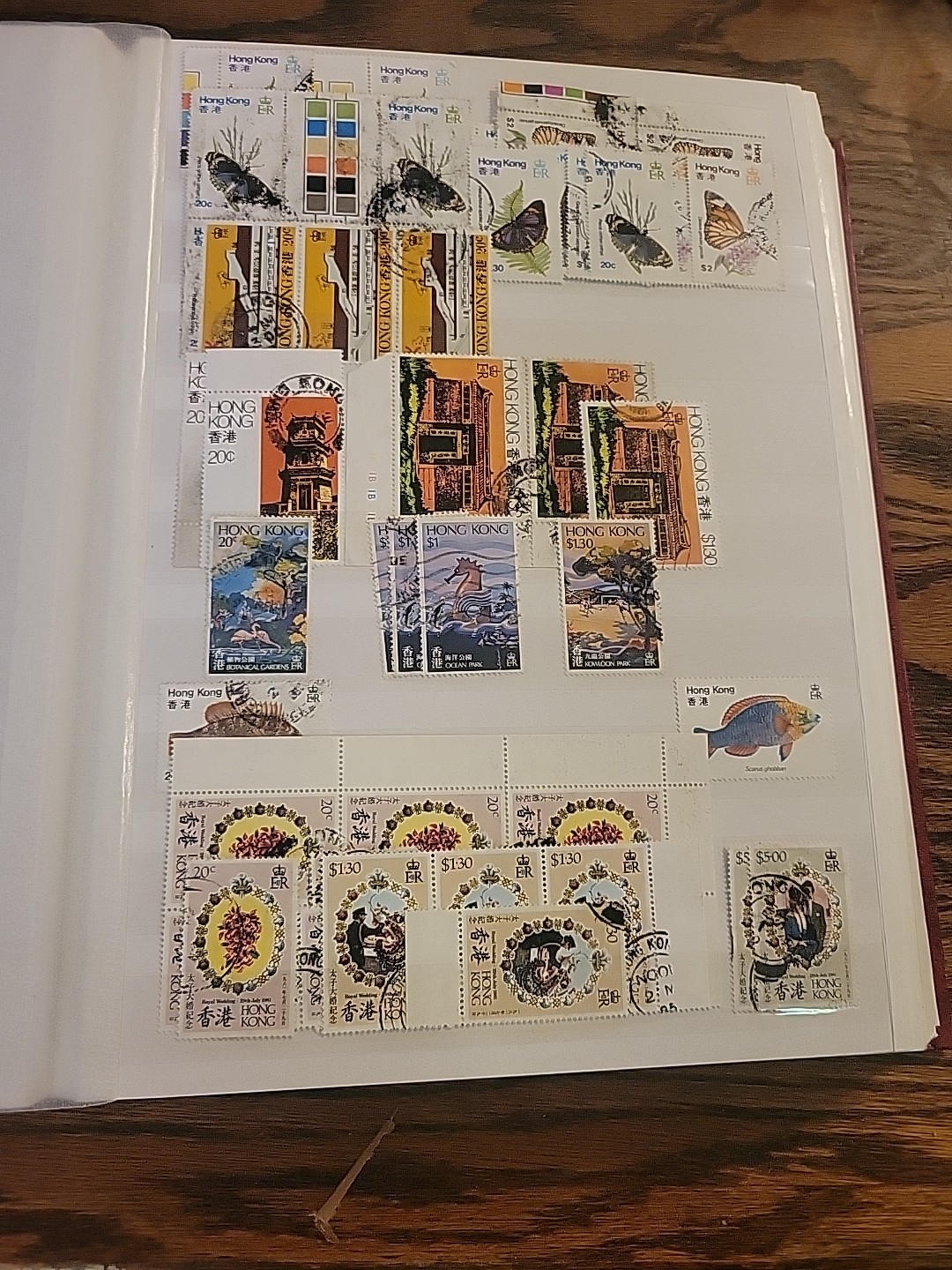 Worldwide Stamp Collection in Album Full of Stamps - Mint & Used Royal Mail HK