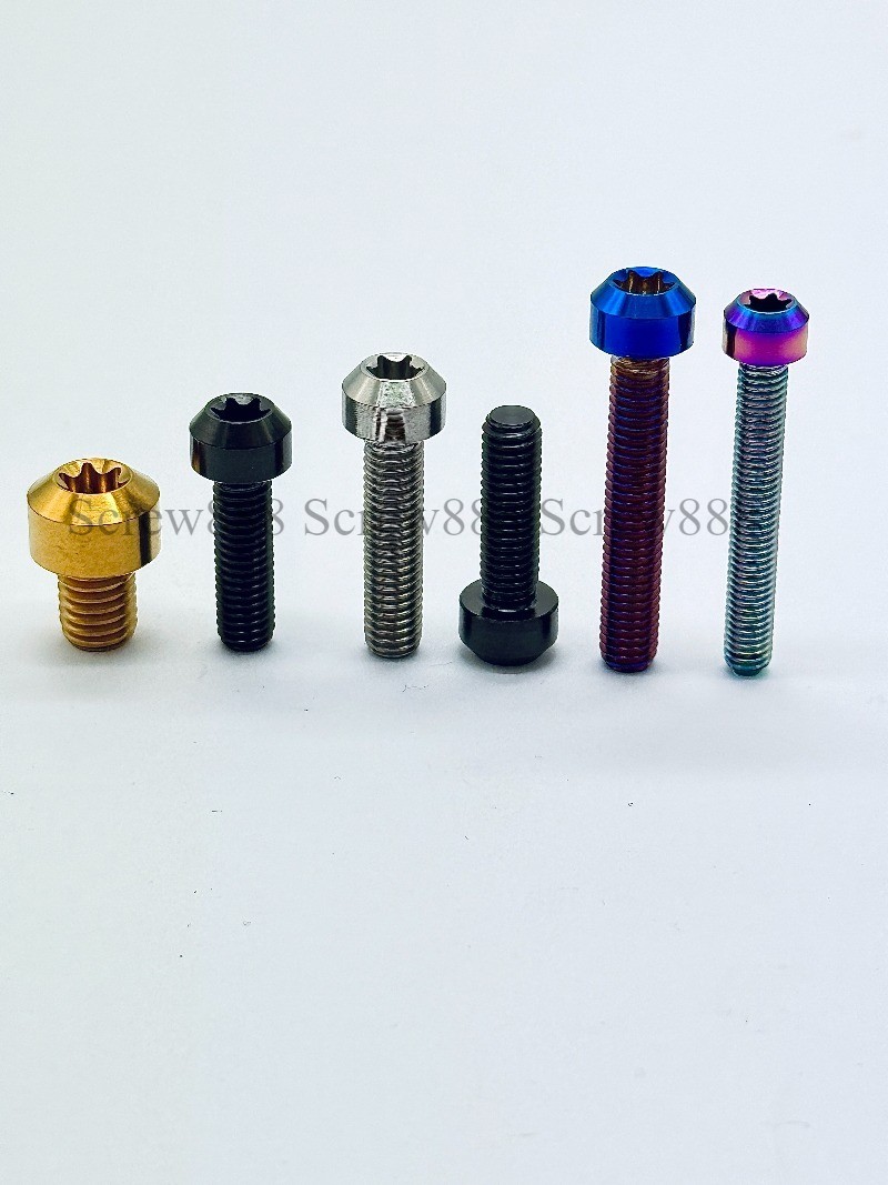Titanium Bolt M5/M6x10 15 20 25 30 35 40 50 60 70 80mm Chamfered Head Torx Screw