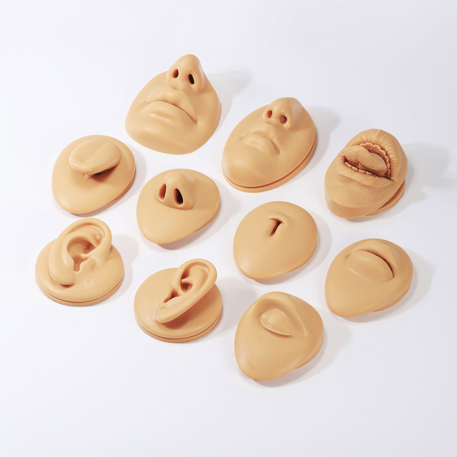 Silicone Ear Model with Acrylic Display Stand Body Parts Practice Piercing Tools