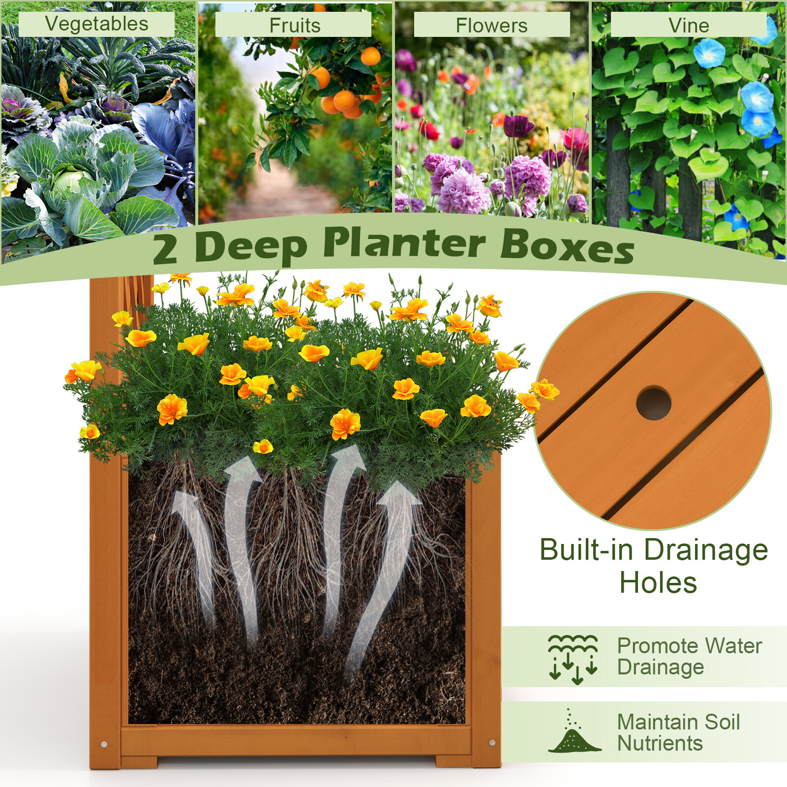 Wooden Garden Arbor Outdoor Archway with Trellis for Wedding Ceremony Decoration