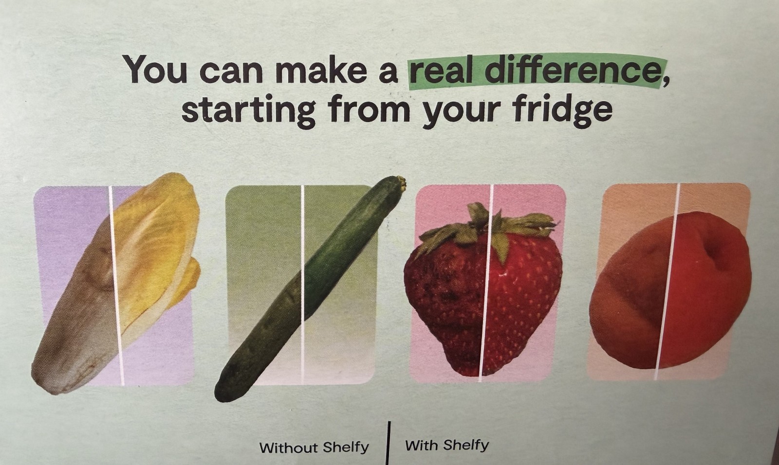 Vitesy Shelfy Fridge Air Filter Purifier, Extends Freshness Model SHLO - New!