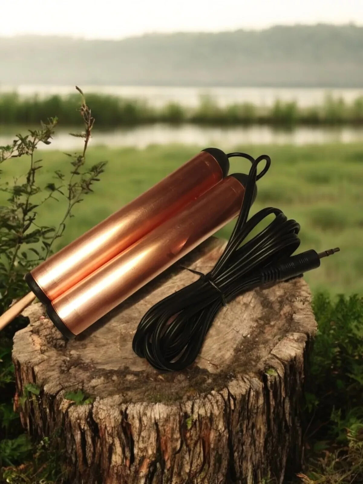 Professional Rife Frequency Generator!