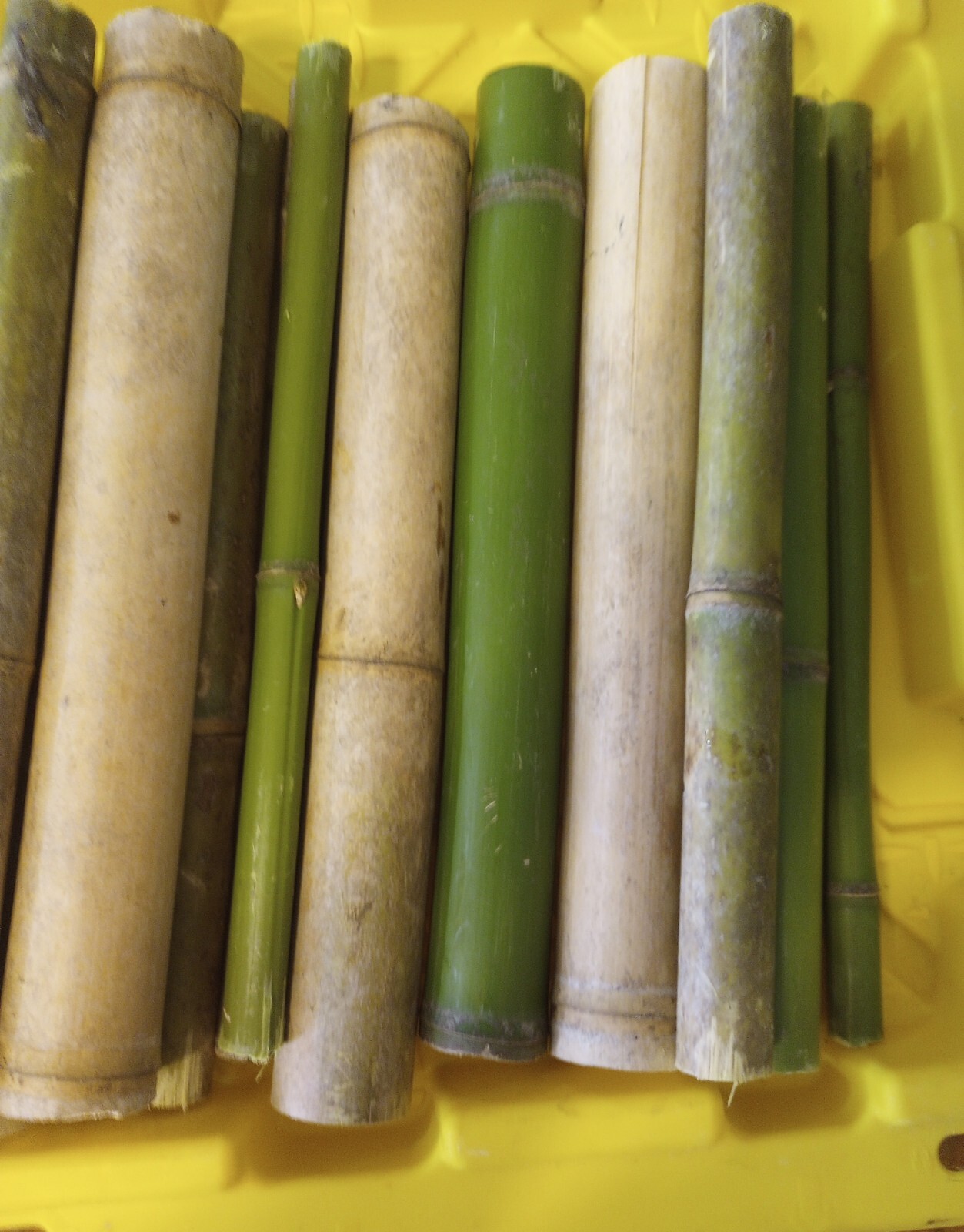 10 Bamboo 12" Poles Variety Sizes Decoration Tiki 1' Make Your Own Bee Hive