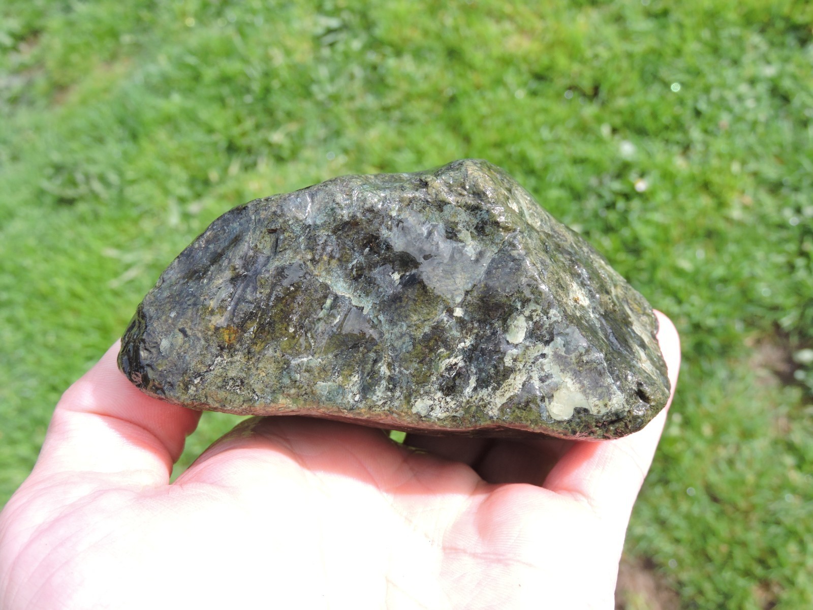 OREGON DARK GREEN SERPENTINE Rough Stones. *MAGNETIC* 100% Natural (8 lb)