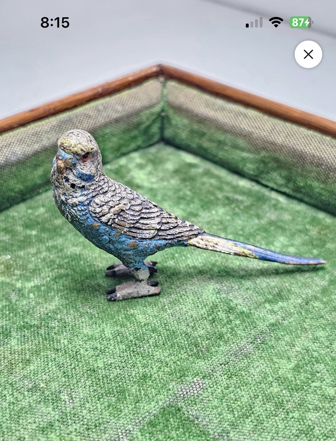 Small Austrian Vienna Cold Painted Bronze Figure of Blue Parakeet Bird