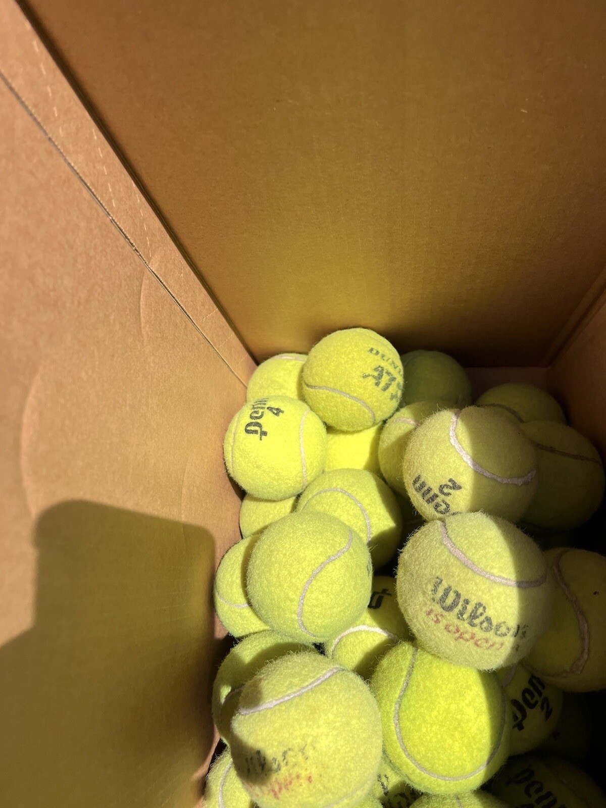 10 of Good Grade used Tennis Balls from Wilson, Dunlop, Penn, Head, etc Dog Toys