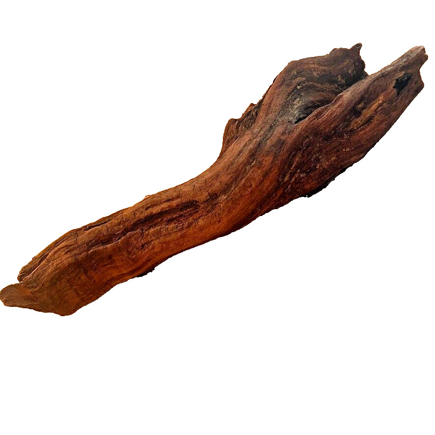 18" x 5" Redwood Driftwood Organic Craft Aquarium Rustic Boho Natural Wood