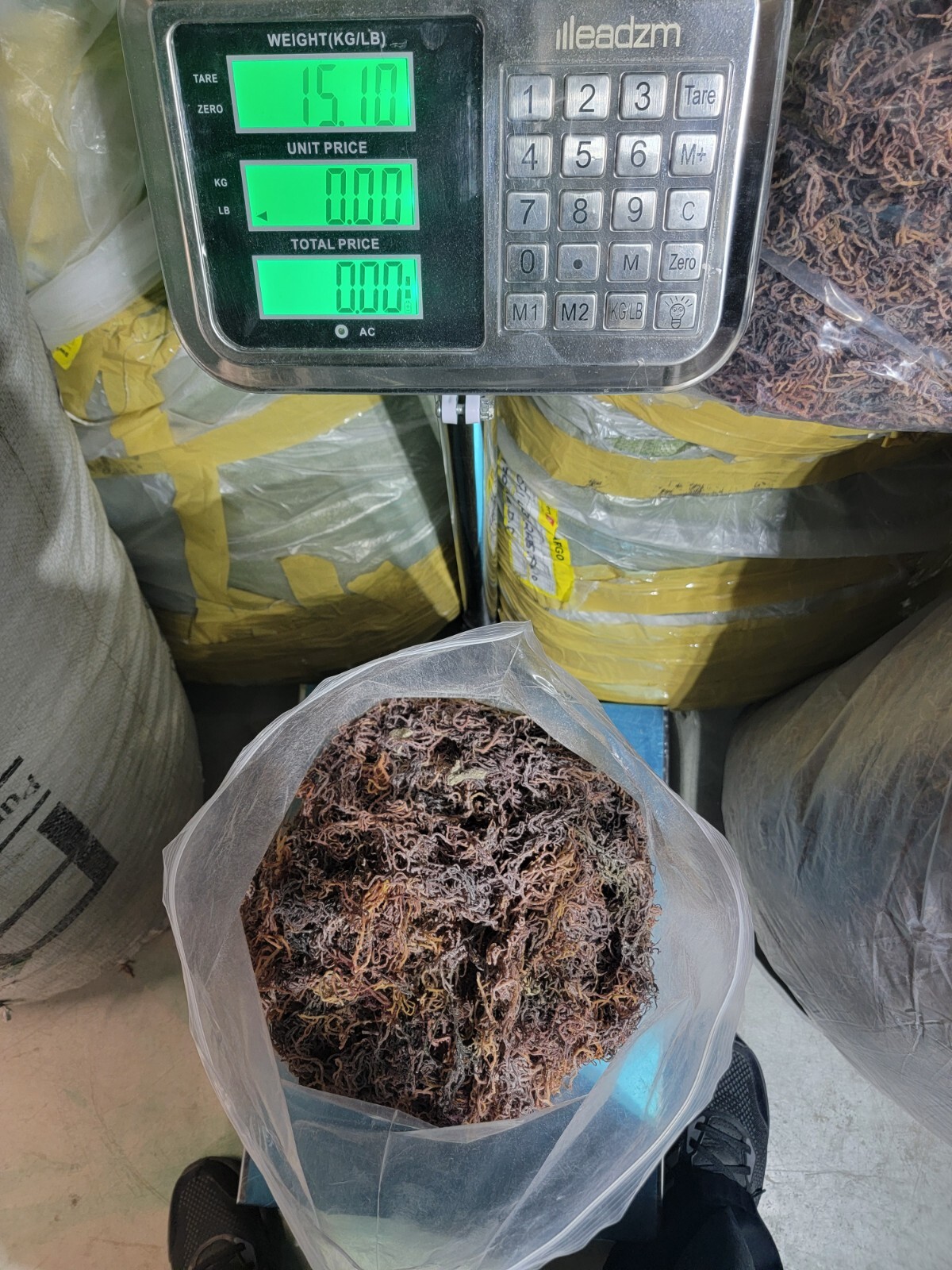 Organic Purple Irish Sea Moss I Wild Crafted Superfood I Raw Sun dried Seamoss