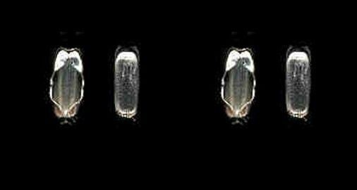 25 feet 304 STAINLESS STEEL BALL CHAIN 2.4mm bead #3 plus 25 connectors (25')