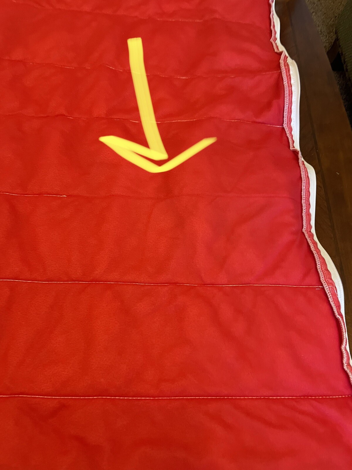 Vintage 90's Disney 101 Dalmatians Red Double Sided Youth Sleeping Bag Read