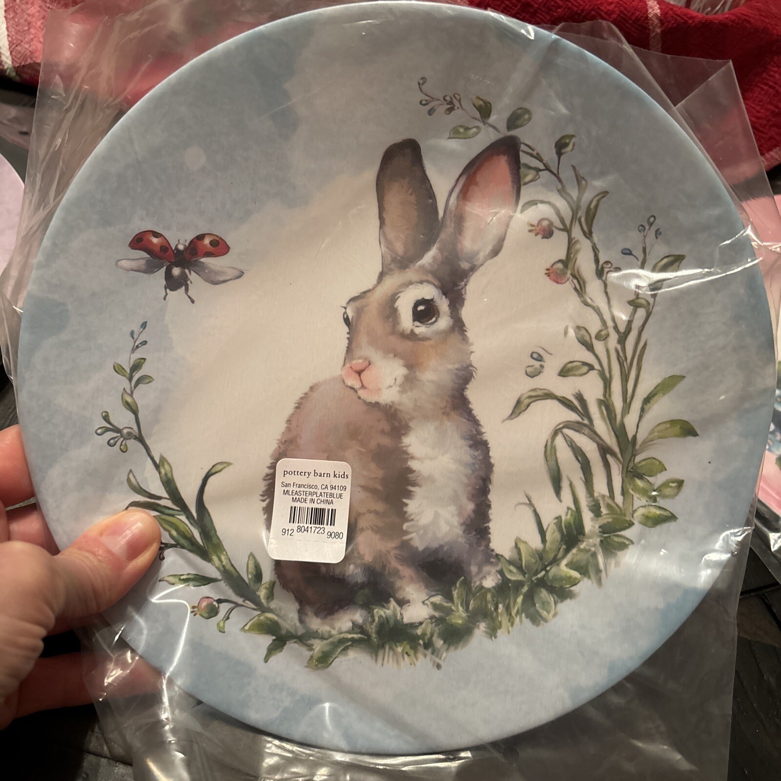 Pottery Barn Disney PLATE Rabbit Easter 🐣 holiday Party gift BUNNY Love SET 4 !
