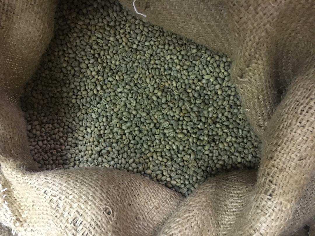 5 LB FRESH UNROASTED TANZANIAN TANZANIA PEABERRY GREEN COFFEE BEANS - ARABICA